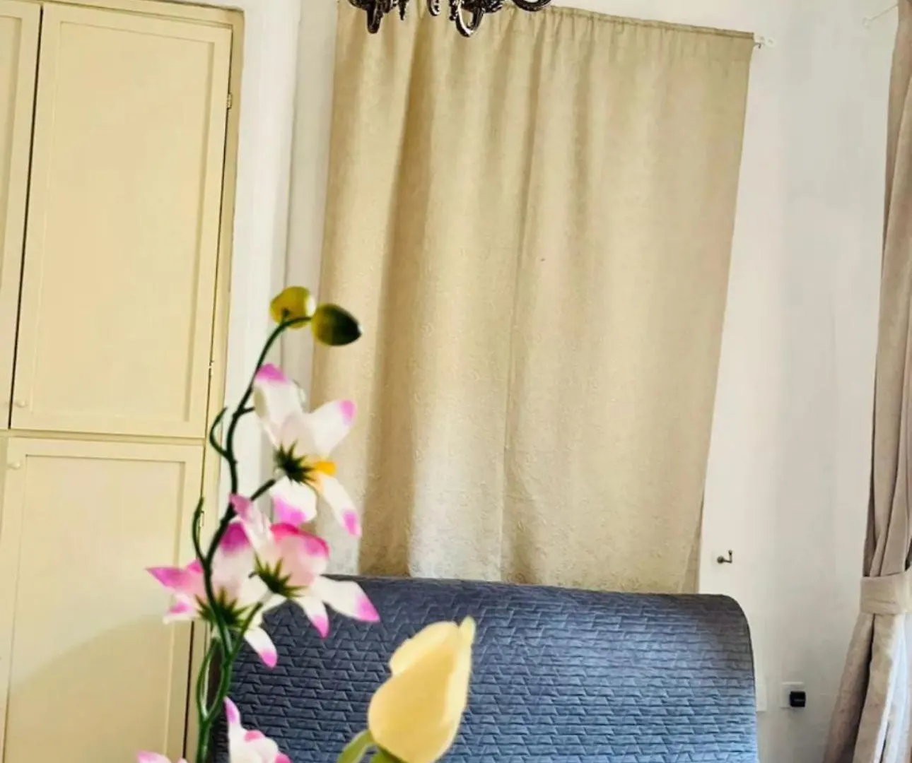 Best Aparthotel Leone Florence