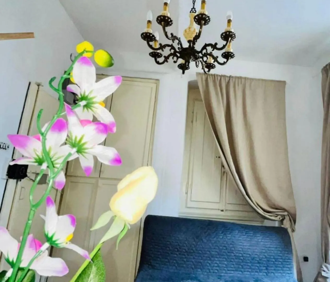 Best Aparthotel Leone Florence